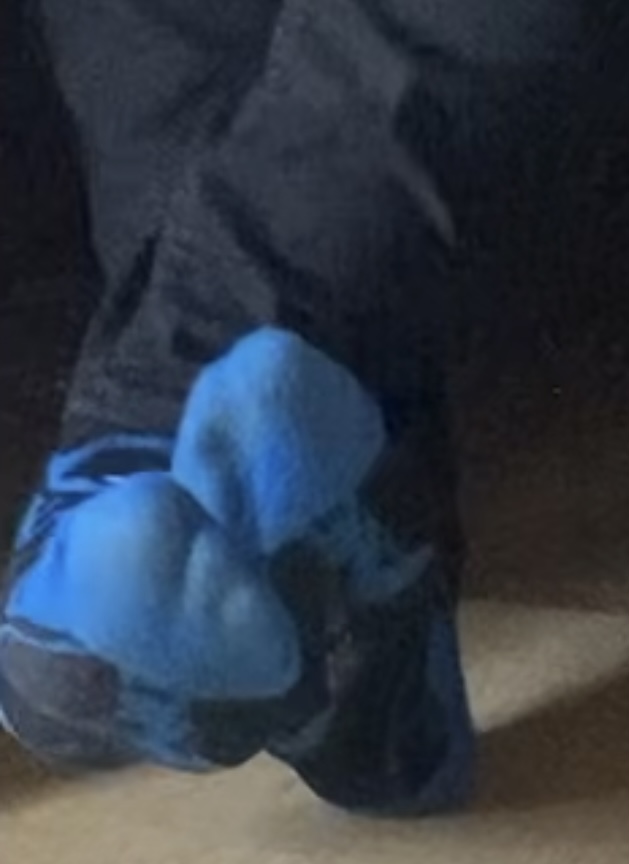 IMG_4746.jpeg