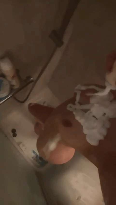 VID-20250701-WA0005(1).gif