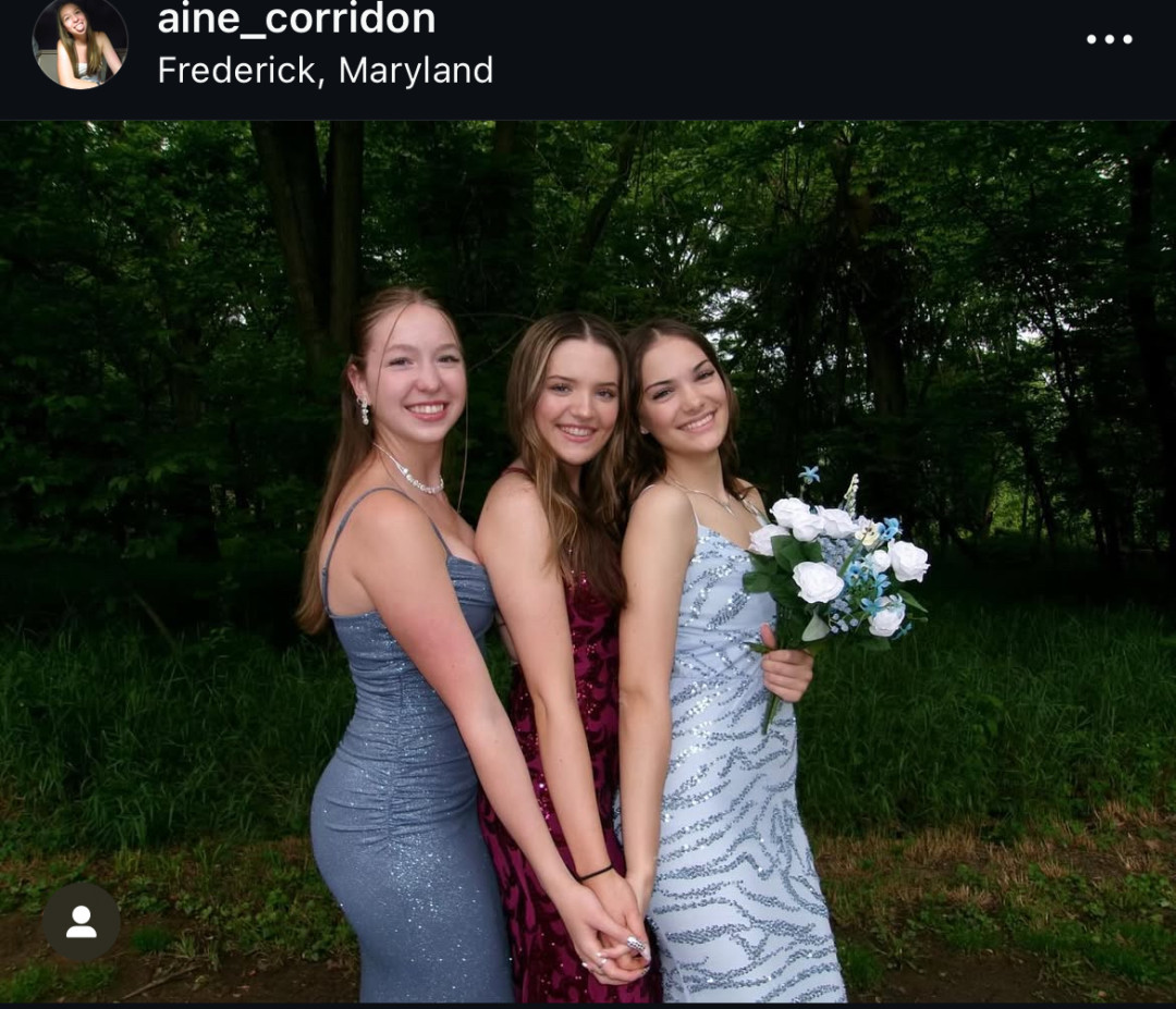 IMG_8619.jpeg